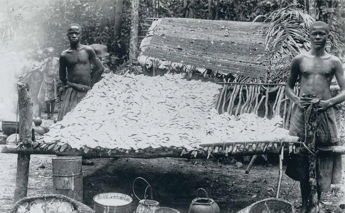 Du caoutchouc de Léopold II aux minerais technologiques d’aujourd’hui